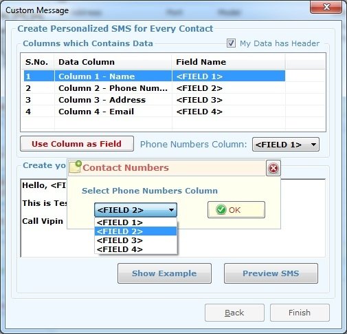 Bulk SMS Caster Professional