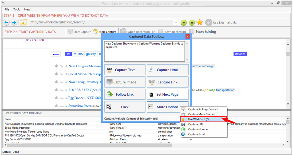 Web Data Miner