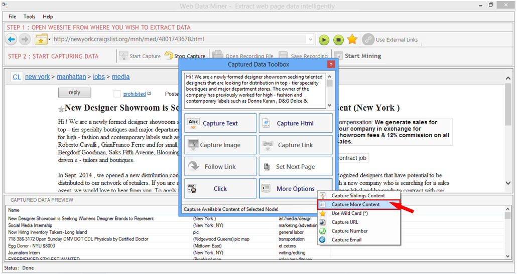 Web Data Miner